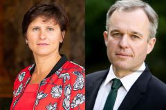 Roxana Maracineanu y Franois de Rugy, los nuevos ministros a cargo de la navegacin y los deportes acuticos